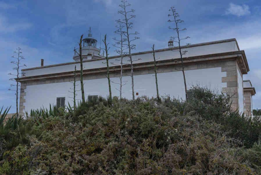 Mallorca - Llucmajor 22 - faro de Cap Blanc.jpg
